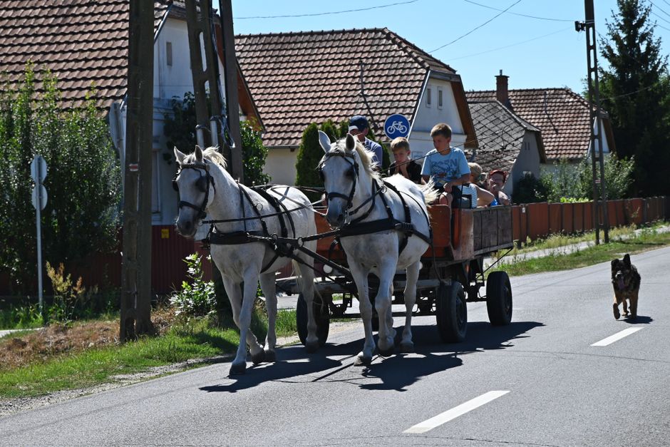 Děti na příměstském táboře s koňmi