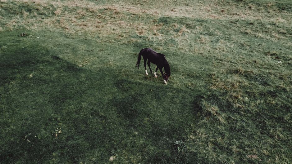 Areál stáje Podkova z dronu